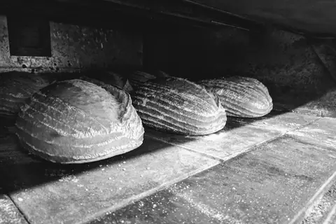 Bakehouse Born and Bred photo 1